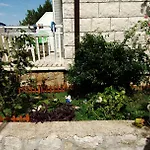 Mirela *