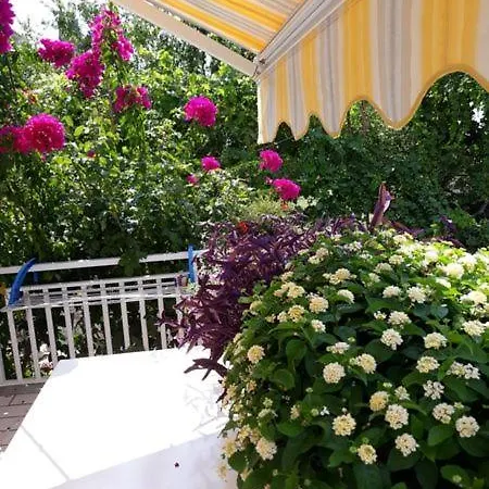 Apartment Mirela Mlini
