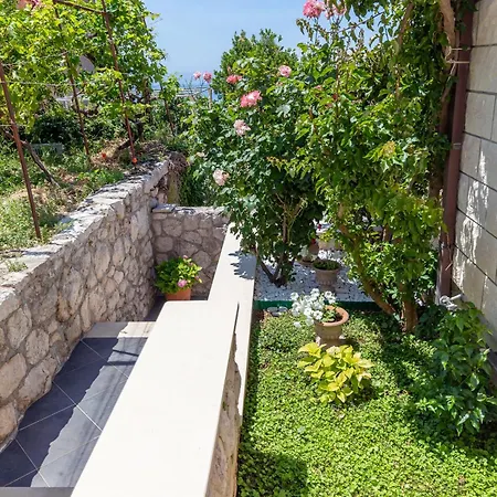 Apartment Mirela